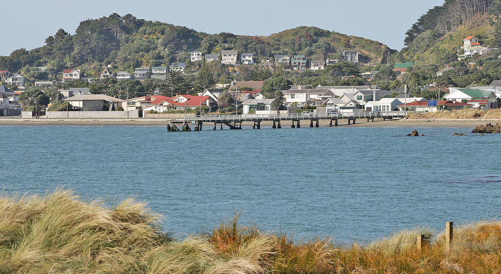 Beachfront Wellington Bed And Breakfast Exteriér fotografie