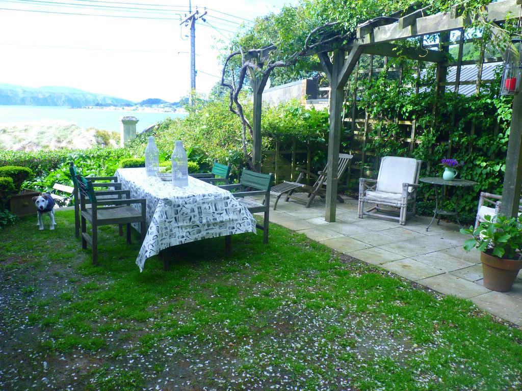 Beachfront Wellington Bed And Breakfast Exteriér fotografie