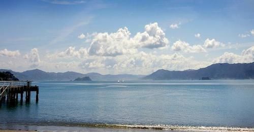 Beachfront Wellington Bed And Breakfast Exteriér fotografie