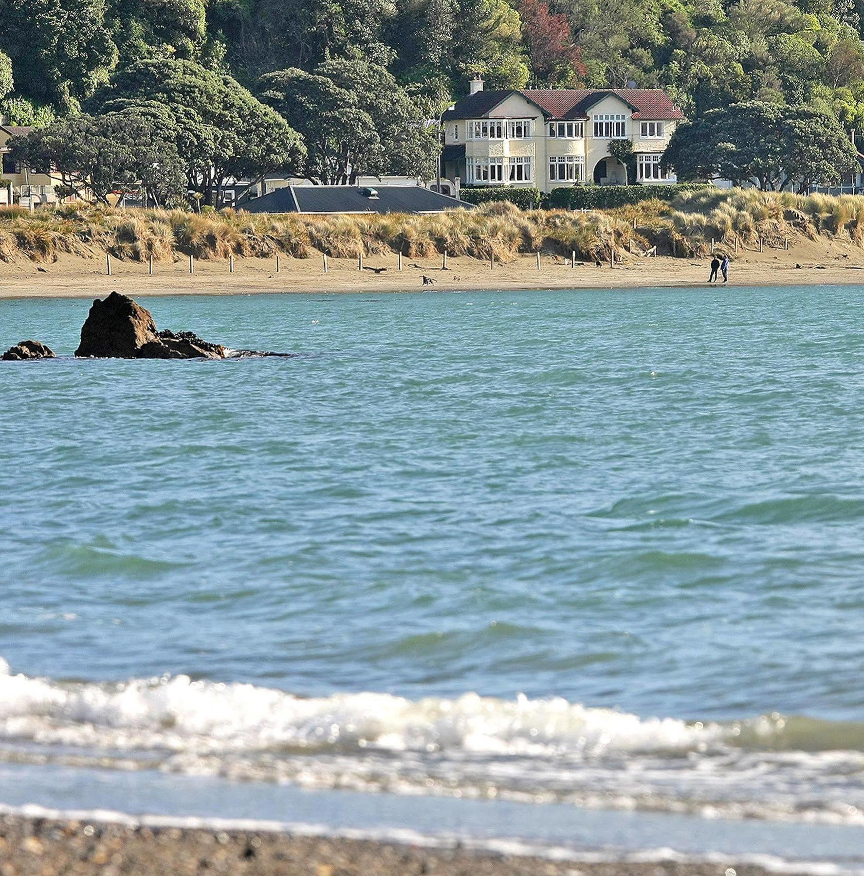 Beachfront Wellington Bed And Breakfast Exteriér fotografie