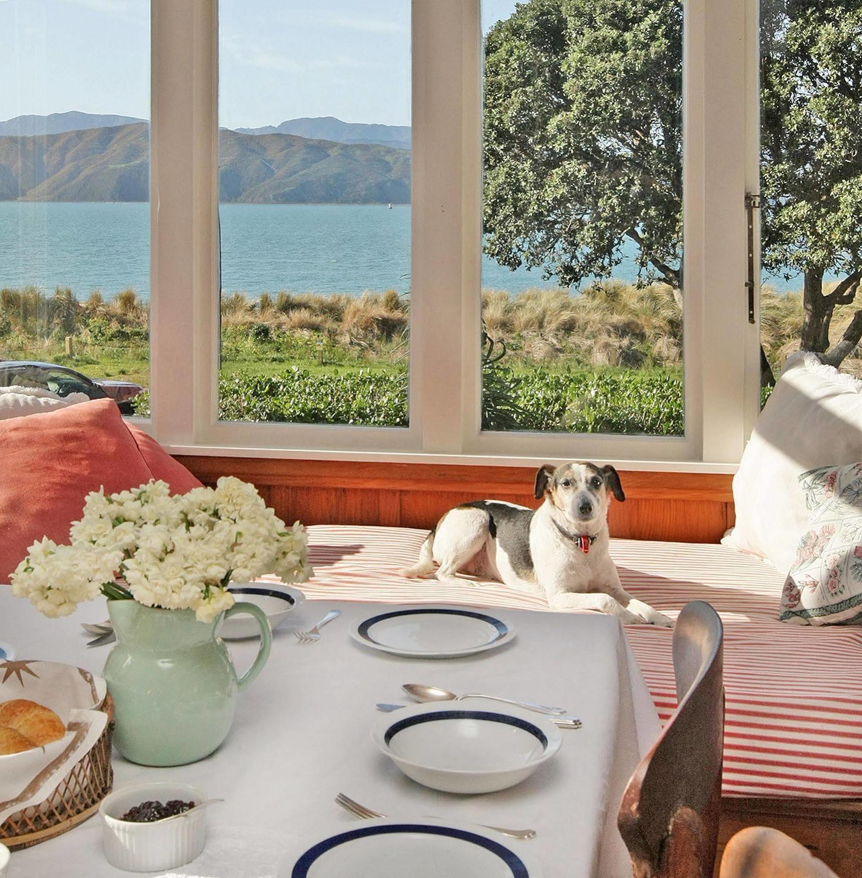Beachfront Wellington Bed And Breakfast Exteriér fotografie