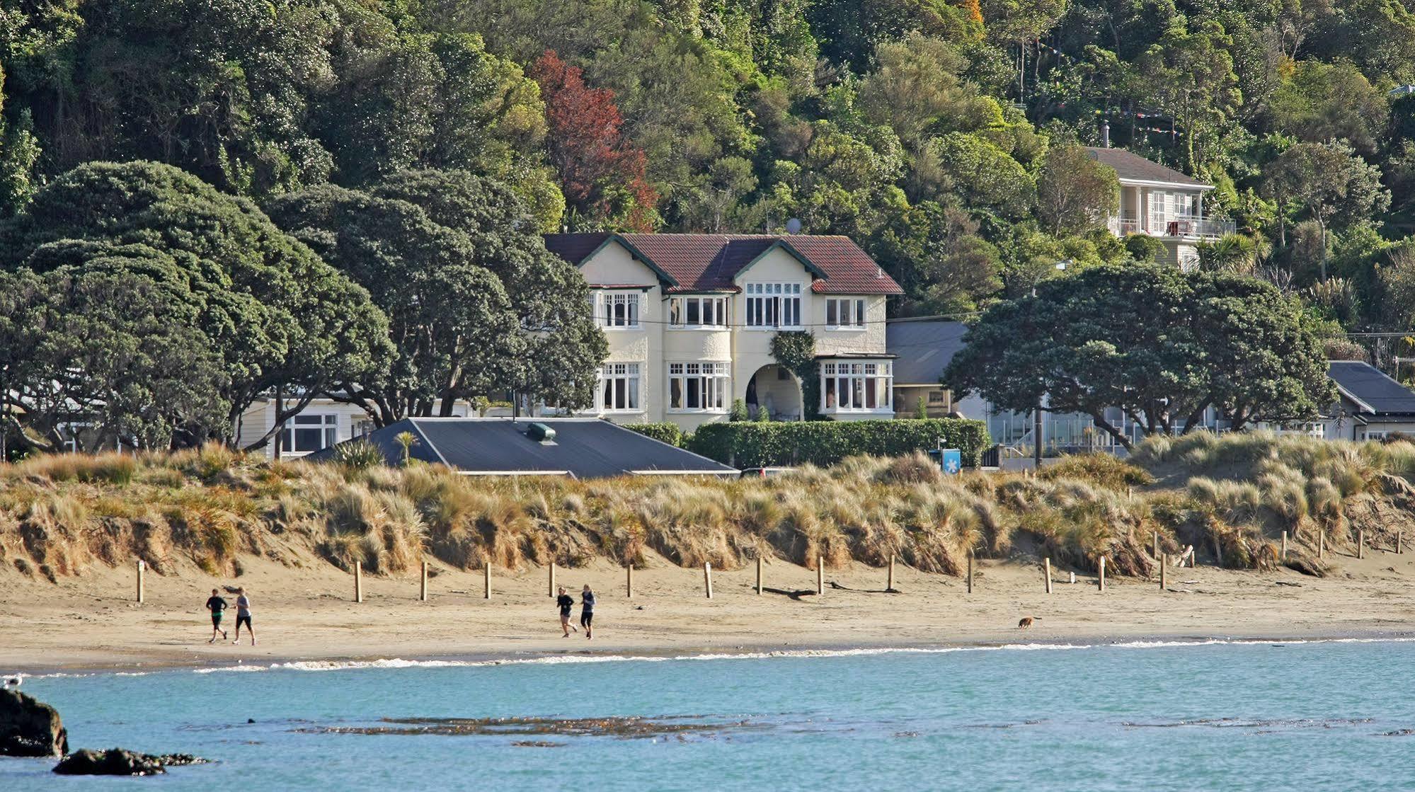 Beachfront Wellington Bed And Breakfast Exteriér fotografie