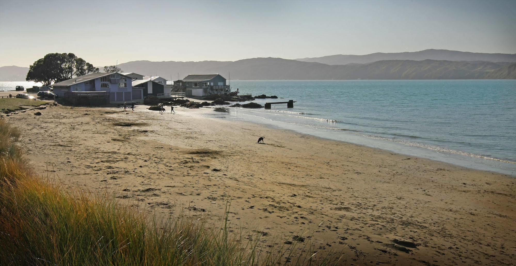 Beachfront Wellington Bed And Breakfast Exteriér fotografie