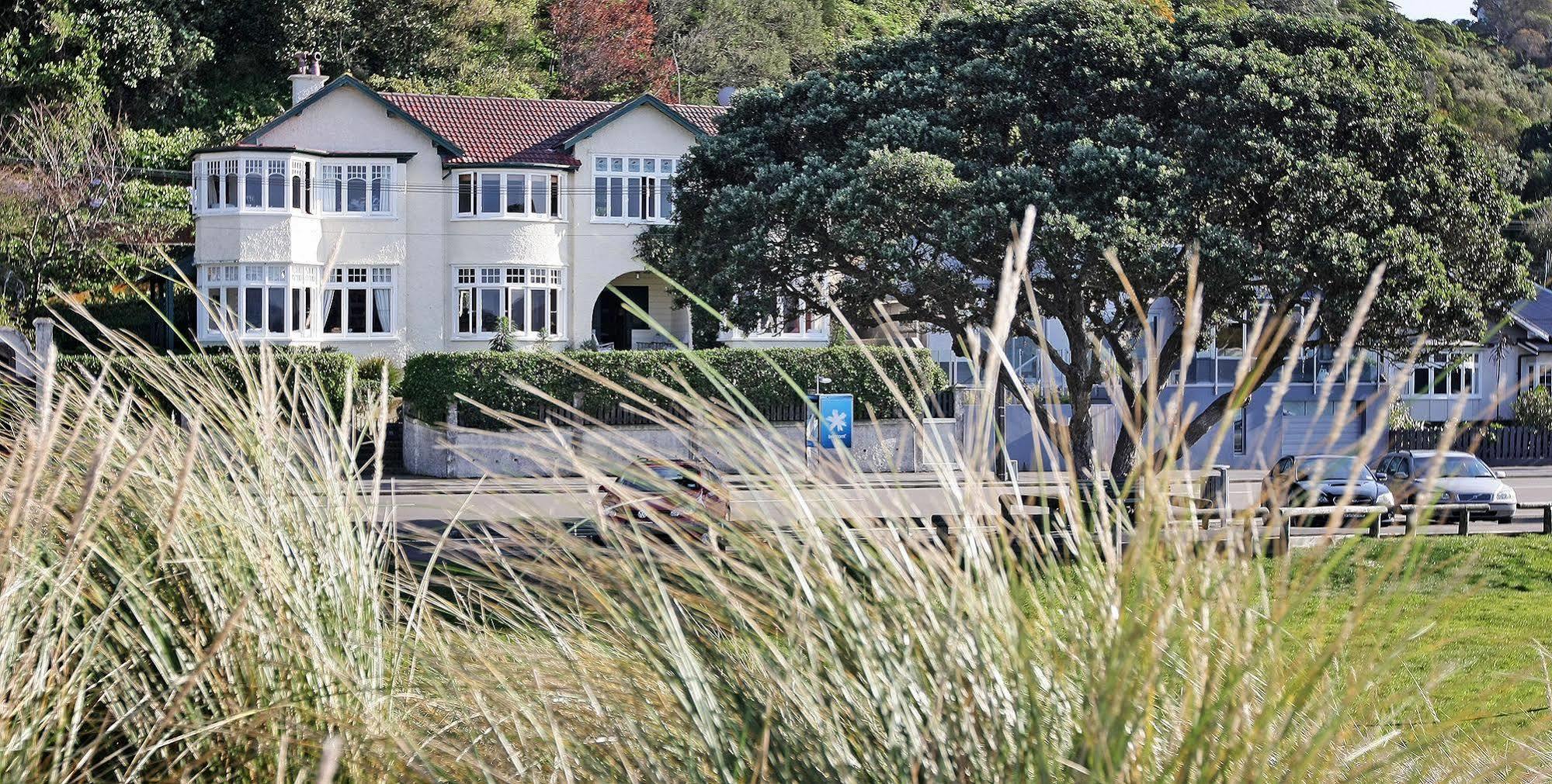 Beachfront Wellington Bed And Breakfast Exteriér fotografie